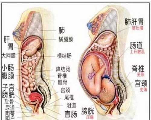 绍兴滨助孕套餐_乳腺癌是女性之间比较高发的一