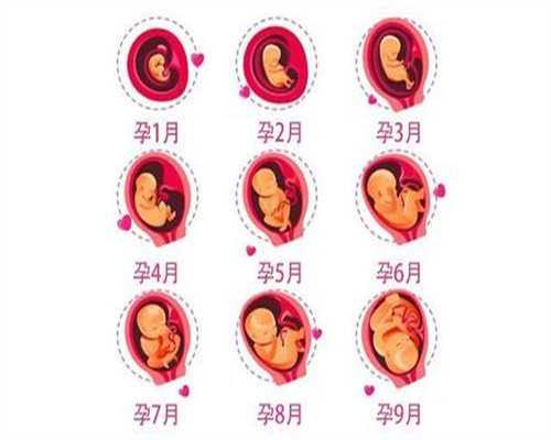 绍兴滨助孕官网_女人的乳房健康是比较脆弱的，