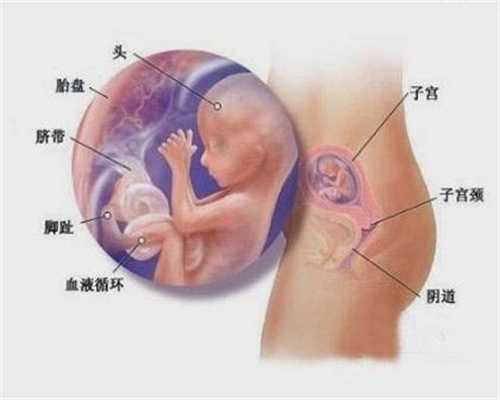 助孕代生价格：什么情况下孕妇不能摸肚子