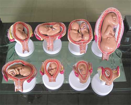 供卵代生机构：怀孕能不能吃绿豆糕