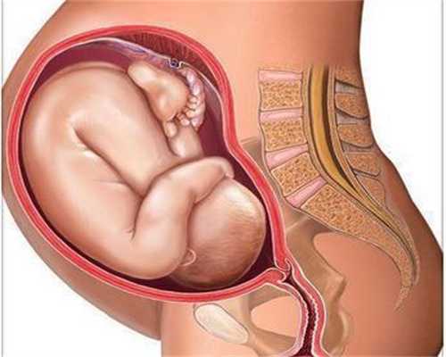 输卵管堵塞有积水能做试管吗？还能成功怀孕吗？