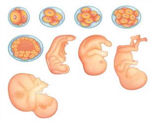 赴美试管婴儿：什么等级的胚胎才能被移植？