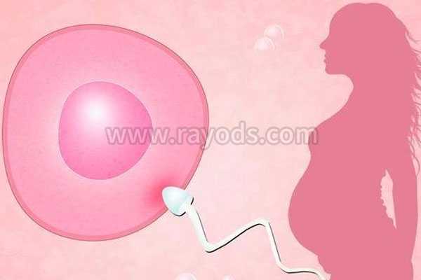 输卵管病变可以做第三代试管婴儿吗？