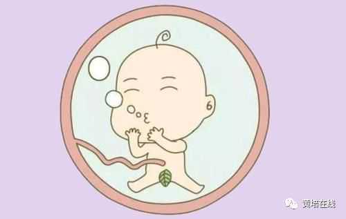 畸形精子多就会生畸形胎儿？